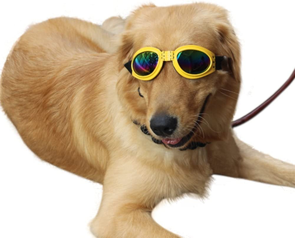 Pet Glasses Dog Sunglasses Dog Glasses Golden Retriever Samoyed Sunglasses Goggles Big Dog Sunglasses (Black) Animals & Pet Supplies > Pet Supplies > Dog Supplies > Dog Apparel NACOCO Yellow  