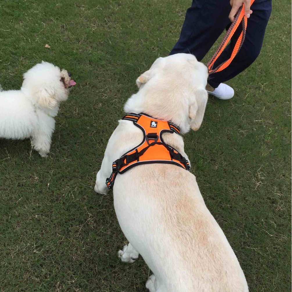 SGODA Dog Harness Reflective Dog Vest Harness No Pull Pet Harness with Handle for Large Dogs, Orange Animals & Pet Supplies > Pet Supplies > Dog Supplies > Dog Apparel SGODA   