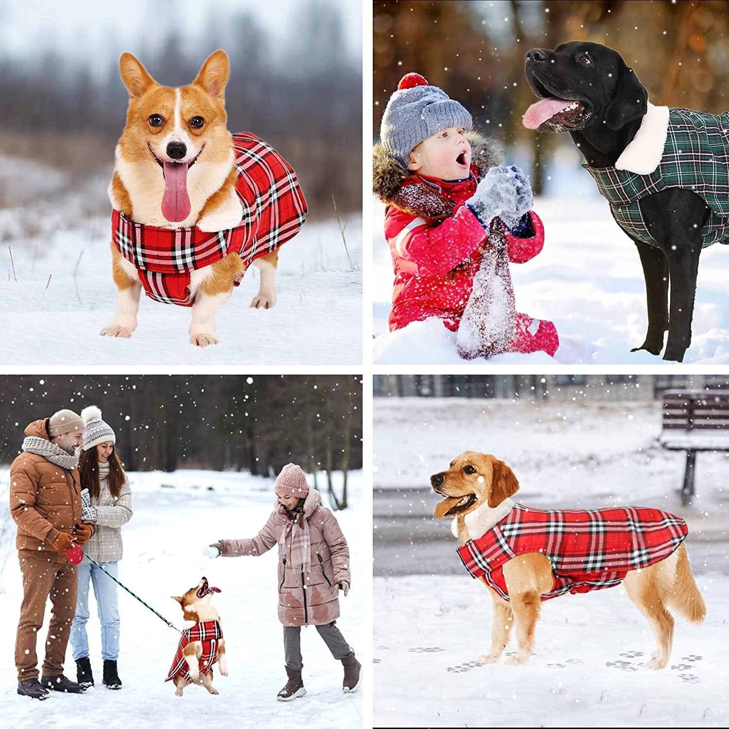 Kastty Dog Winter Coat, Reversible Extra Warm Dog Clothes, Waterproof& Windproof Dog Cold Weather Coats, Stylish& Cosy Dog Jacket, British Plaid 2 Style Dog Coat, Great for Dog Gift or Daily Wear, S Animals & Pet Supplies > Pet Supplies > Dog Supplies > Dog Apparel Kastty   