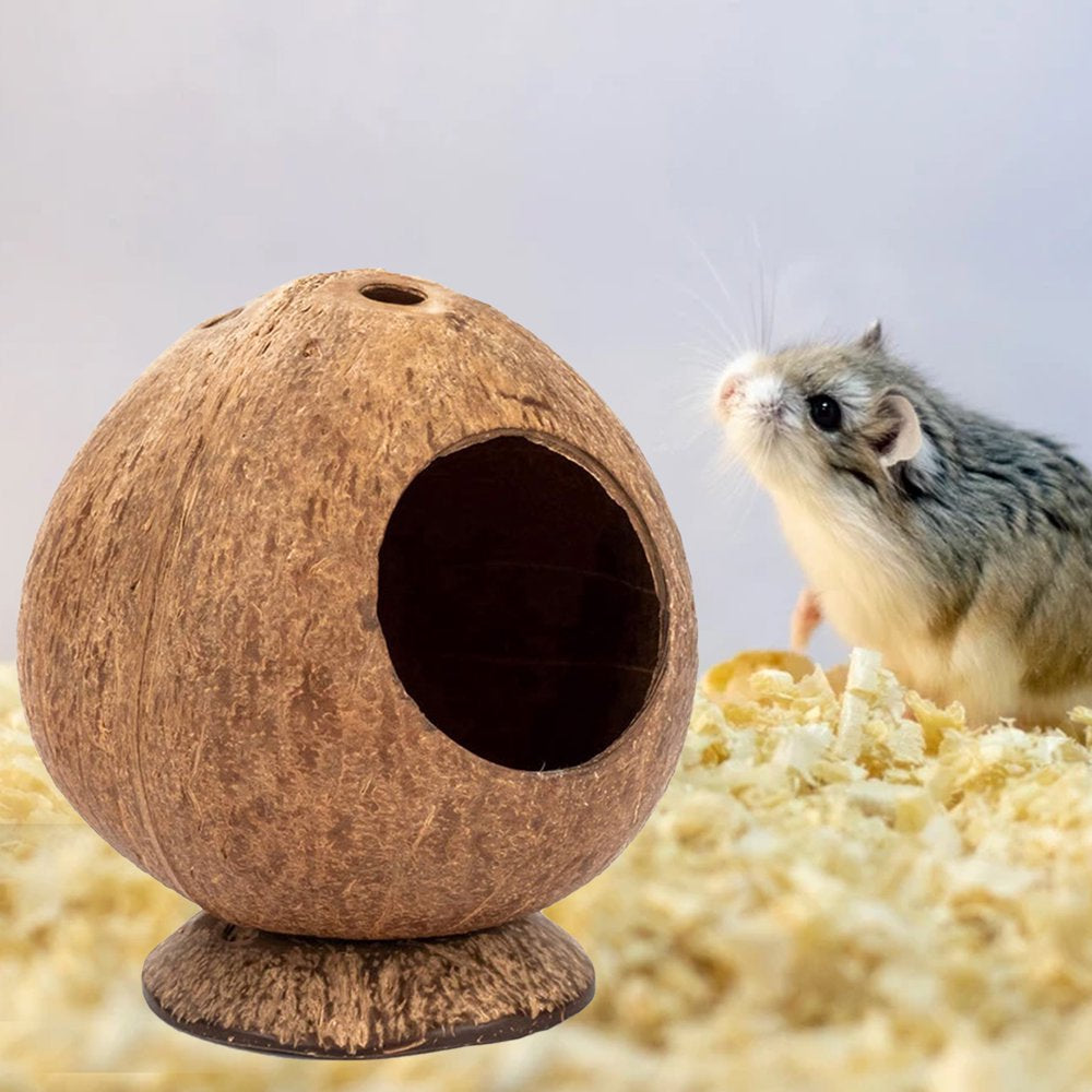 Shenmeida Natural Coconut Hut Hamster House Bed for Gerbils Mice Small Animal Cage Habitat Decor Animals & Pet Supplies > Pet Supplies > Small Animal Supplies > Small Animal Habitats & Cages shenmeida   