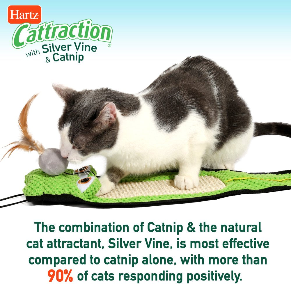 Hartz Cattraction Gator Scratch Cat Toy with Silver Vine and Catnip, Color May Vary Animals & Pet Supplies > Pet Supplies > Cat Supplies > Cat Toys Hartz Mountain Corp.   