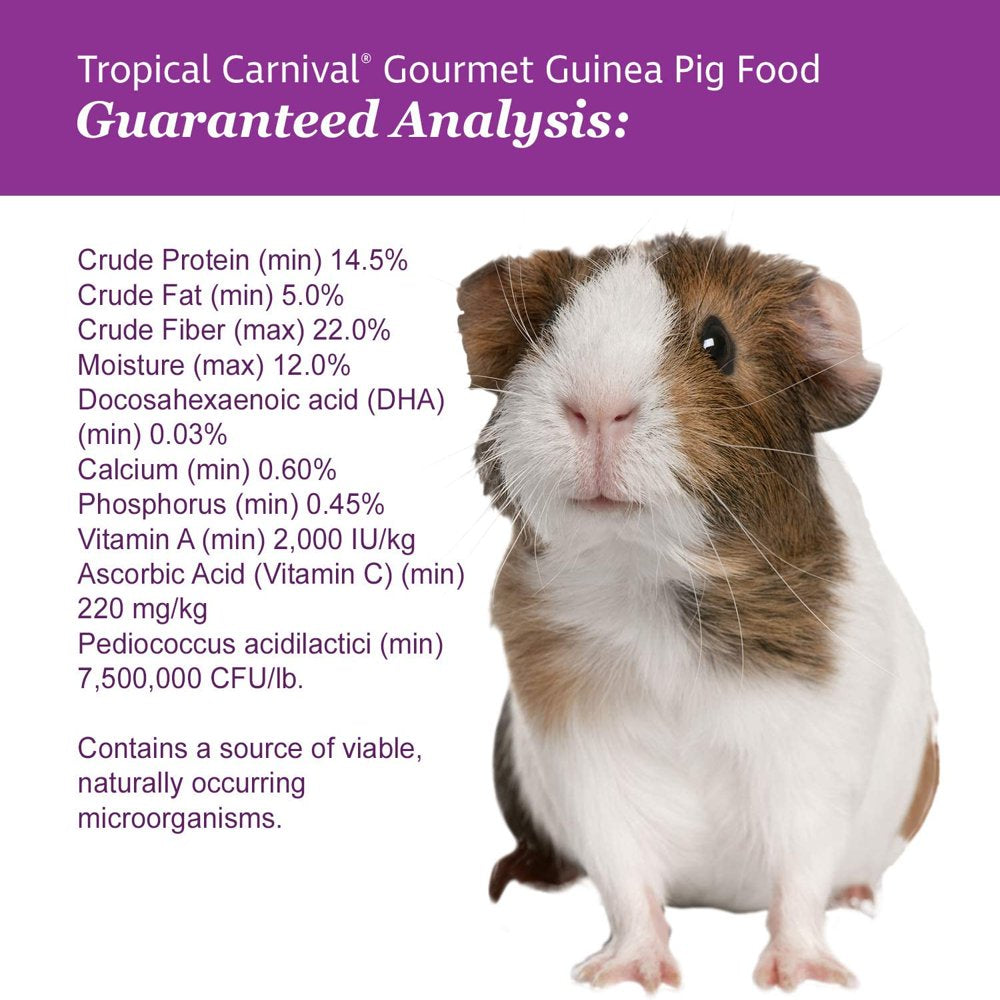 F.M. Brown'S Tropical Carnival Gourmet Guinea Pig Food with Alfalfa and Timothy Hay Pellets - Vitamin-Nutrient Fortified Daily Diet - 5Lb Animals & Pet Supplies > Pet Supplies > Small Animal Supplies > Small Animal Food Brown's   