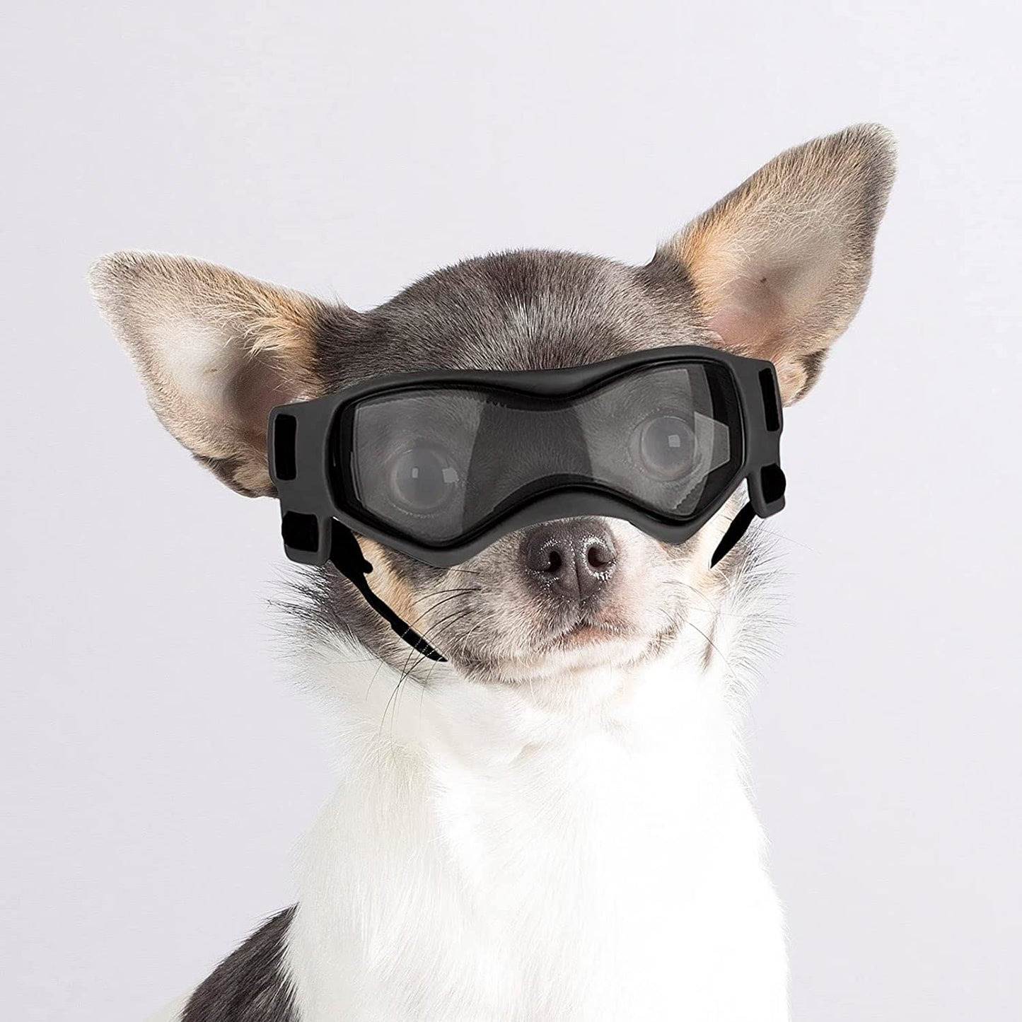 Enjoying Dog Sunglasses Small Breed Dogs Goggles UV Protection Eye Wear Windproof Anti-Fog Pet Glasses for Doggy about over 5 Lbs, Black Animals & Pet Supplies > Pet Supplies > Dog Supplies > Dog Apparel Enjoying Cool Black  