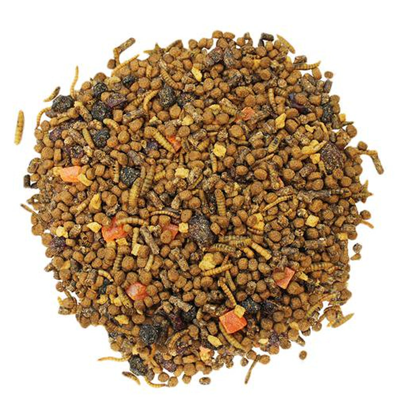 Exotic Nutrition Opossum Complete 1 Lb. Animals & Pet Supplies > Pet Supplies > Small Animal Supplies > Small Animal Food Exotic Nutrition   