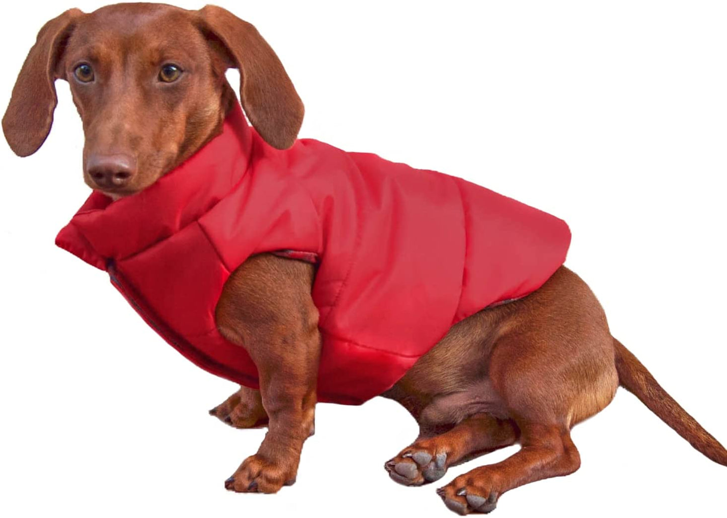 DJANGO Puffer Dog Jacket and Reversible Cold Weather Dog Coat—Water-Repellent and Adjustable Dog Jacket with Windproof Protection, Easy-Access Leash Portal, and Velcro Closure (Medium, Twilight Blue) Animals & Pet Supplies > Pet Supplies > Dog Supplies > Dog Apparel DJANGO Lava Red Small 