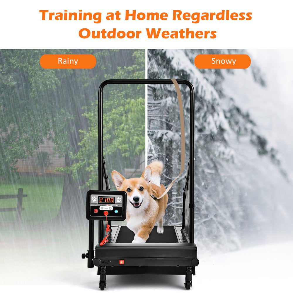 Petsite Pet Treadmill Indoor Exercise for Dogs Pet Exercise Equipment W/ Remote Control Animals & Pet Supplies > Pet Supplies > Dog Supplies > Dog Treadmills Costway   