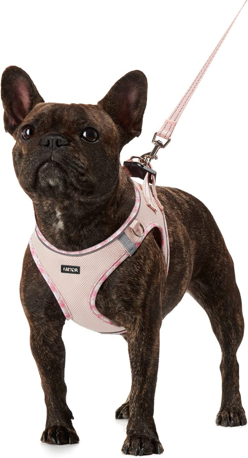 AMTOR Dog Harness with Leash Set,No Pull Adjustable Reflective Step-In Puppy Harness with Padded Vest for Extra-Small/Small Medium Large Dogs and Cats(Beige) Animals & Pet Supplies > Pet Supplies > Dog Supplies > Dog Apparel AMTOR Pink Medium(Chest:16.0"-18.0") 