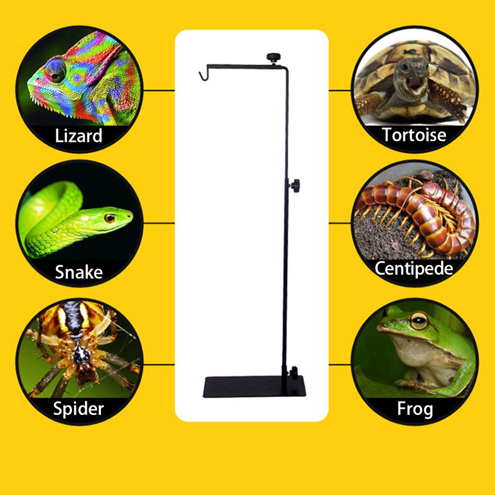 Reptile Lamp Stand Adjustable Lamp Holder Metal Rust-Proof Reptile Amphibian Light Holder Animals & Pet Supplies > Pet Supplies > Reptile & Amphibian Supplies > Reptile & Amphibian Habitat Heating & Lighting DIYOO   