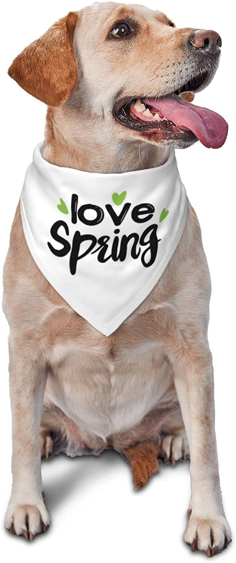 Green Love Hello Spring Simple Pet Dog and Cat Decorative Triangle Scarf,Dog Bandana,Breathable and Stain Resistant. Animals & Pet Supplies > Pet Supplies > Dog Supplies > Dog Apparel ZALTAS   