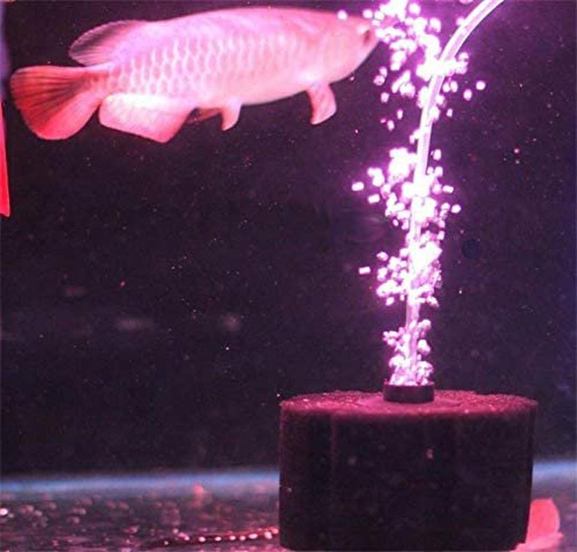 AQUAPAPA Aquarium Bio Sponge Filter up to 60 Gal Breeding Fry Betta Shrimp Fish Tank Animals & Pet Supplies > Pet Supplies > Fish Supplies > Aquarium Filters Aquapapa   