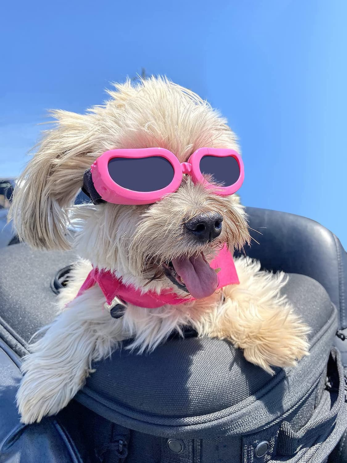 Enjoying Dog Sunglasses Small Breed Dogs Goggles UV Protection Eye Wear Windproof Anti-Fog Pet Glasses for Doggy about over 5 Lbs, Black Animals & Pet Supplies > Pet Supplies > Dog Supplies > Dog Apparel Enjoying Pink  