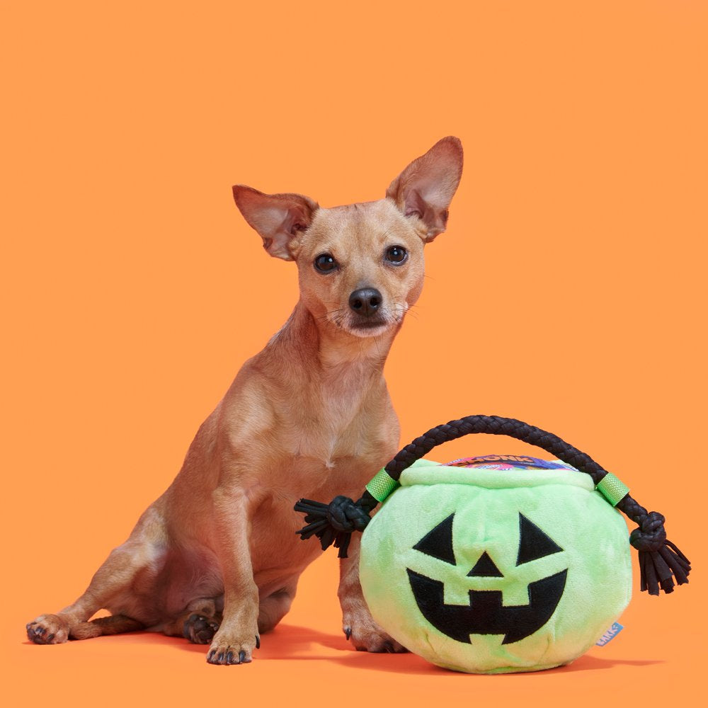 BARK Tricks & Treats Halloween Doggy Bag Dog Toy, Made with T-Shirt Rope, for All Sized Dogs Animals & Pet Supplies > Pet Supplies > Dog Supplies > Dog Toys BARK   