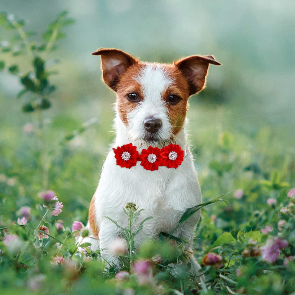 Masue Pets 15Pcs/Pack Dog Bow Tie Dog Flower Collar Diamond Dog Accessories Pet Flower Bows Small Dogs Cat Puppy Bowtie Collar Dogs Bowties Pet Supplies Animals & Pet Supplies > Pet Supplies > Dog Supplies > Dog Apparel MaSue Pets   