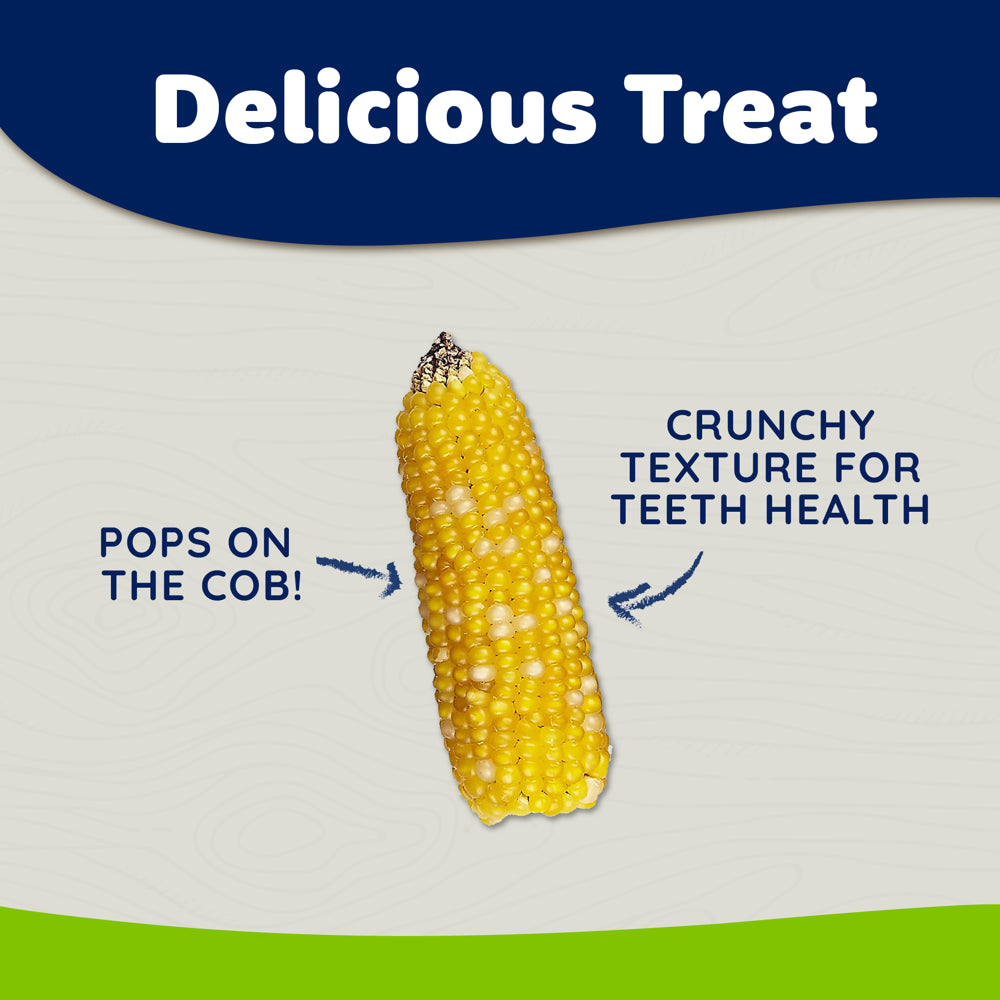 Vitakraft Mini Pops Treat for Small Animals - 100% Real Corn Cob - Supports Healthy Teeth - 6 Oz Animals & Pet Supplies > Pet Supplies > Small Animal Supplies > Small Animal Food Vitakraft Sun Seed   