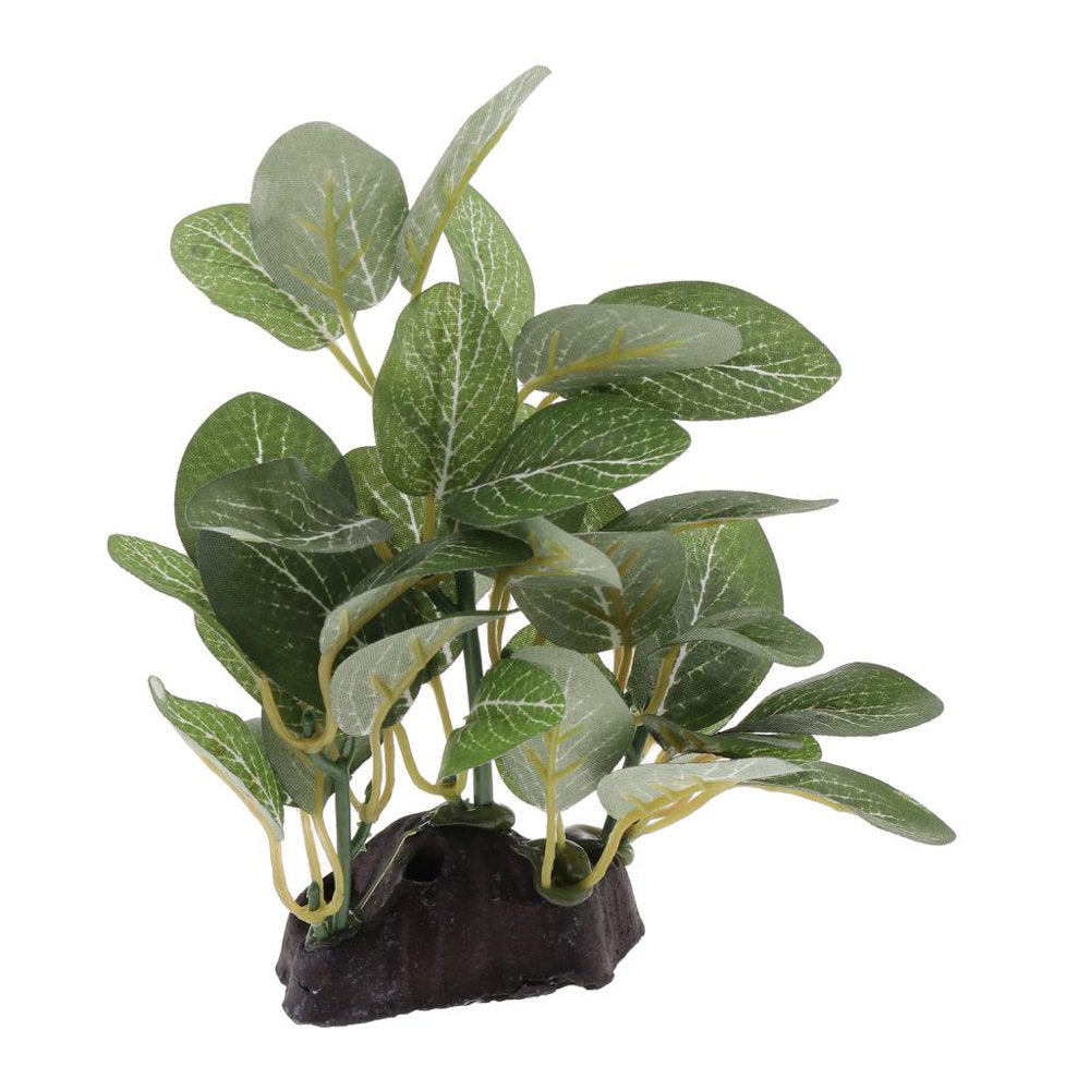 Terrarium Plant Bearded ,Lizards,Geckos, Reptile Habitat Type 2 Animals & Pet Supplies > Pet Supplies > Small Animal Supplies > Small Animal Habitat Accessories Gazechimp   