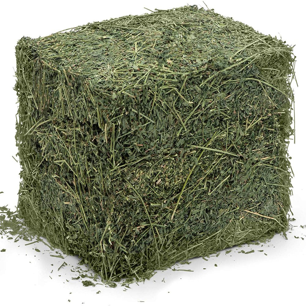 High Desert Alfalfa Hay - Dried Natural Alfalfa Hay for Rabbits, Guinea Pigs, Chinchillas, and Ferrets - Protein and Fiber Rich Food for Small Animals - Healthy Pet Food Animals & Pet Supplies > Pet Supplies > Small Animal Supplies > Small Animal Food High Desert Small Animal Feed   