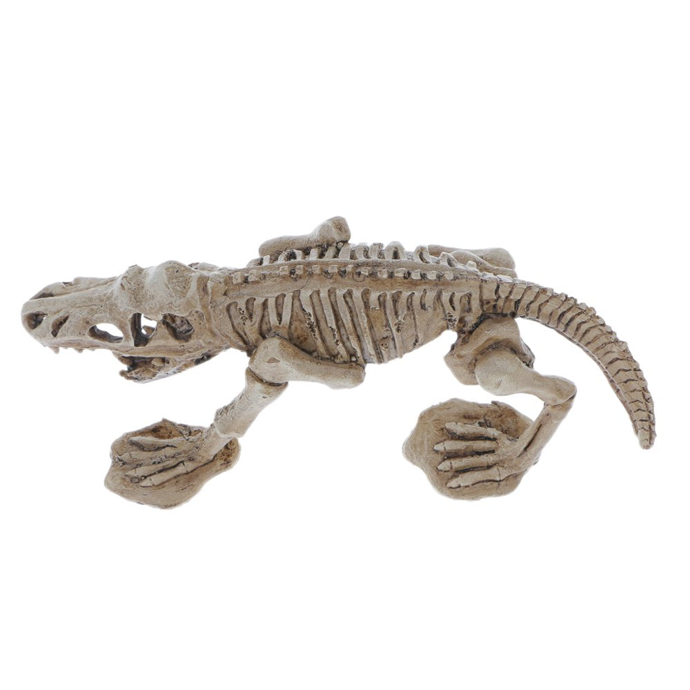 Resin Dinosaur Skeleton Ornaments for Reptile Amphibians Terrarium Vivarium Habitat Aquarium Landscape Decoration, Hideouts Hiding Places Animals & Pet Supplies > Pet Supplies > Small Animal Supplies > Small Animal Habitat Accessories perfk   