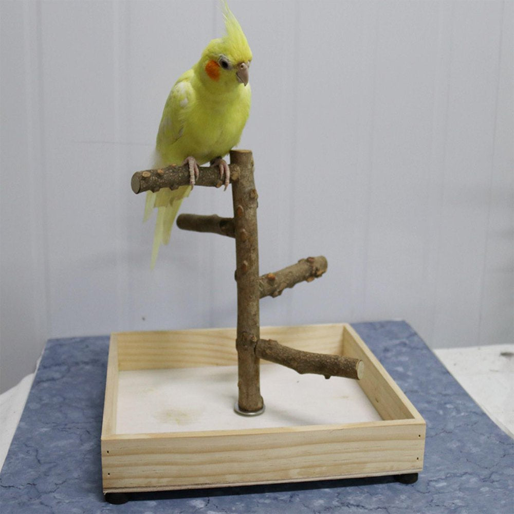 Bird Perch Stand Tabletop,Parrot Playground Bird Gym Natural Wooden Perch Play 36X36X25Cm Animals & Pet Supplies > Pet Supplies > Bird Supplies > Bird Gyms & Playstands Gazechimp   