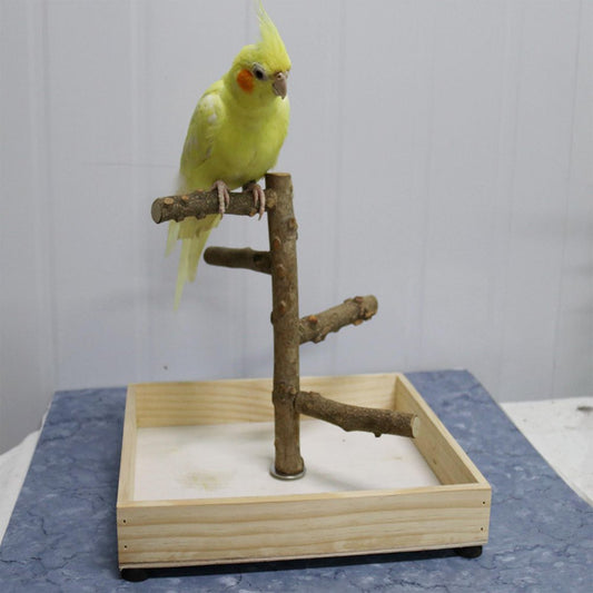 Bird Tabletop Training Stand Perch, Portable Parrot Play Stands, Natural Wooden Bird Gym Playground for Small Medium Parakeets Cocktails Conures Finch , 23X26X20Cm Animals & Pet Supplies > Pet Supplies > Bird Supplies > Bird Gyms & Playstands FITYLE 36x36x25cm  