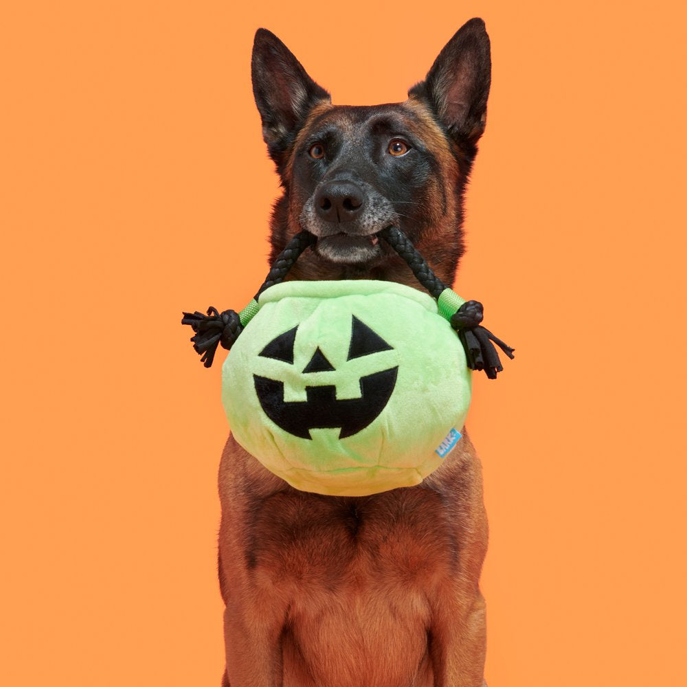 BARK Tricks & Treats Halloween Doggy Bag Dog Toy, Made with T-Shirt Rope, for All Sized Dogs