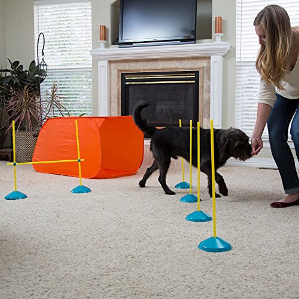 Outward Hound Dog Agility Starter Kit Indoor Animals & Pet Supplies > Pet Supplies > Dog Supplies > Dog Treadmills Outward Hound   