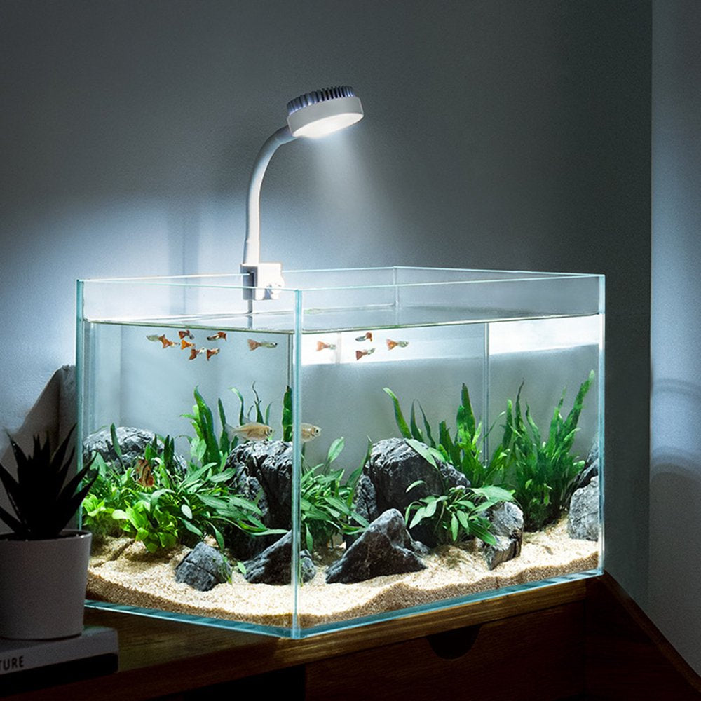 HGYCPP Aquarium Light Small LED Clip Light for Fish Tank with Separate Power Switch Power Saving Hight Brightness Flicker-Free Animals & Pet Supplies > Pet Supplies > Fish Supplies > Aquarium Lighting HGYCPP   