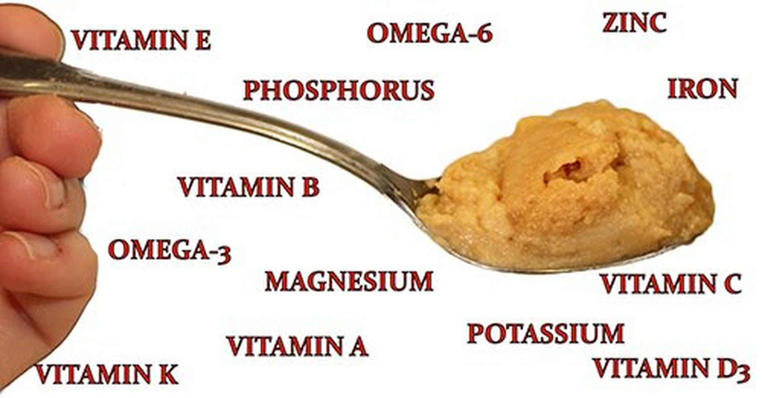 Instant-Hpw High Protein Sugar Glider Food 10 Lb. Animals & Pet Supplies > Pet Supplies > Small Animal Supplies > Small Animal Food Exotic Nutrition   