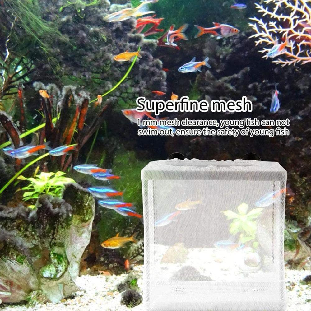 Aquarium Isolation Box Fish Tank Isolation Net Tropical Fish Peacock Anchovy Hatching Breeding Box with Partition Suction Cup Size Animals & Pet Supplies > Pet Supplies > Fish Supplies > Aquarium Fish Nets Pangheng   