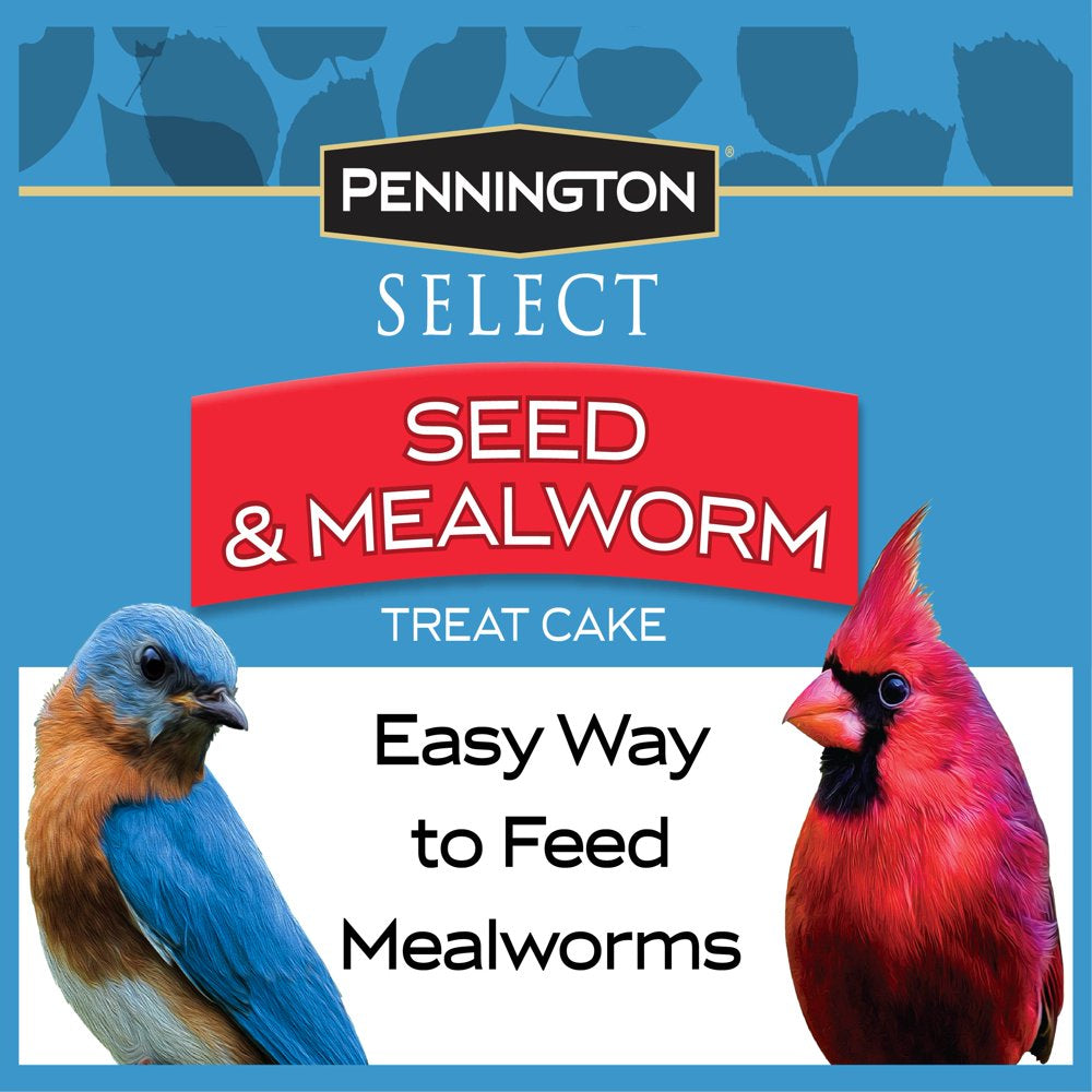 Pennington Seed & Mealworm Treat Cake, Wild Bird Feed, 1.4 Lb. Animals & Pet Supplies > Pet Supplies > Bird Supplies > Bird Food CENTRAL GARDEN & PET COMPANY   