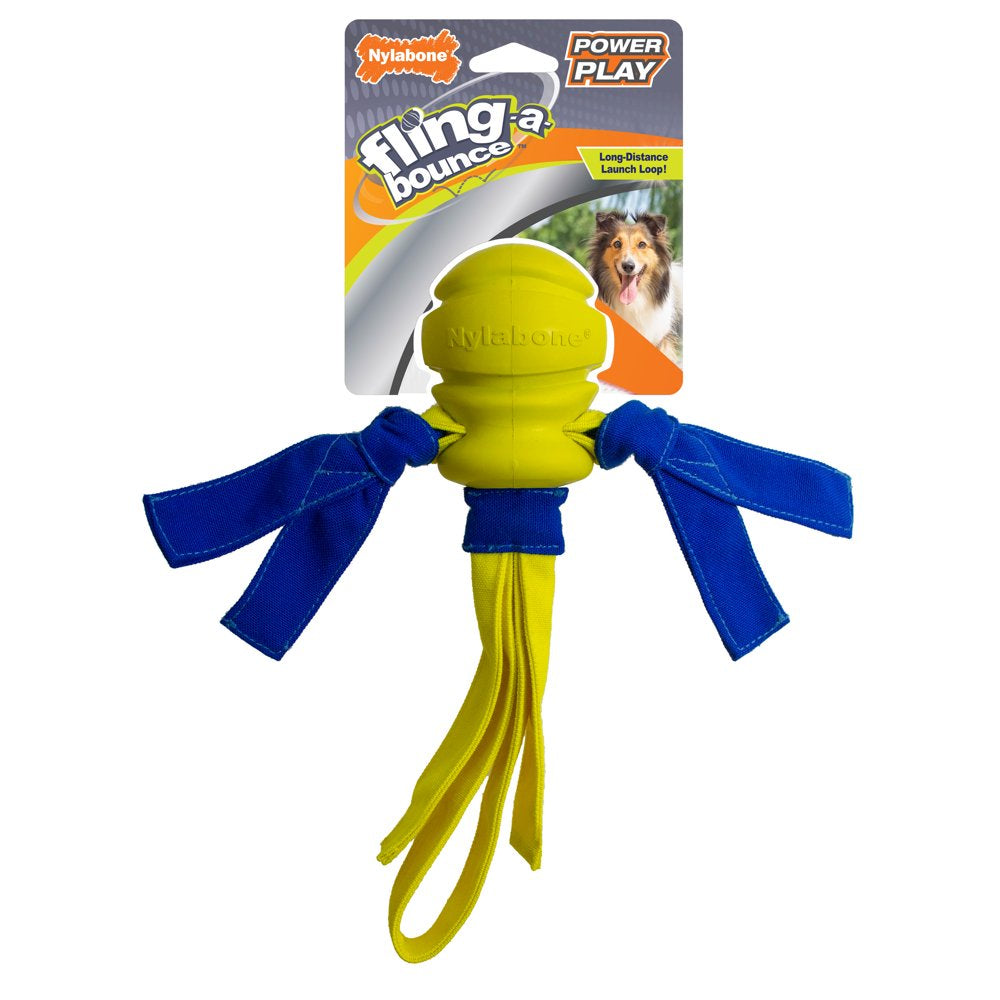 Nylabone Power Play Dog Fetch Toys Fling-A-Bounce Medium - 10 In. Animals & Pet Supplies > Pet Supplies > Dog Supplies > Dog Toys Central Garden and Pet Medium (1 Count)  