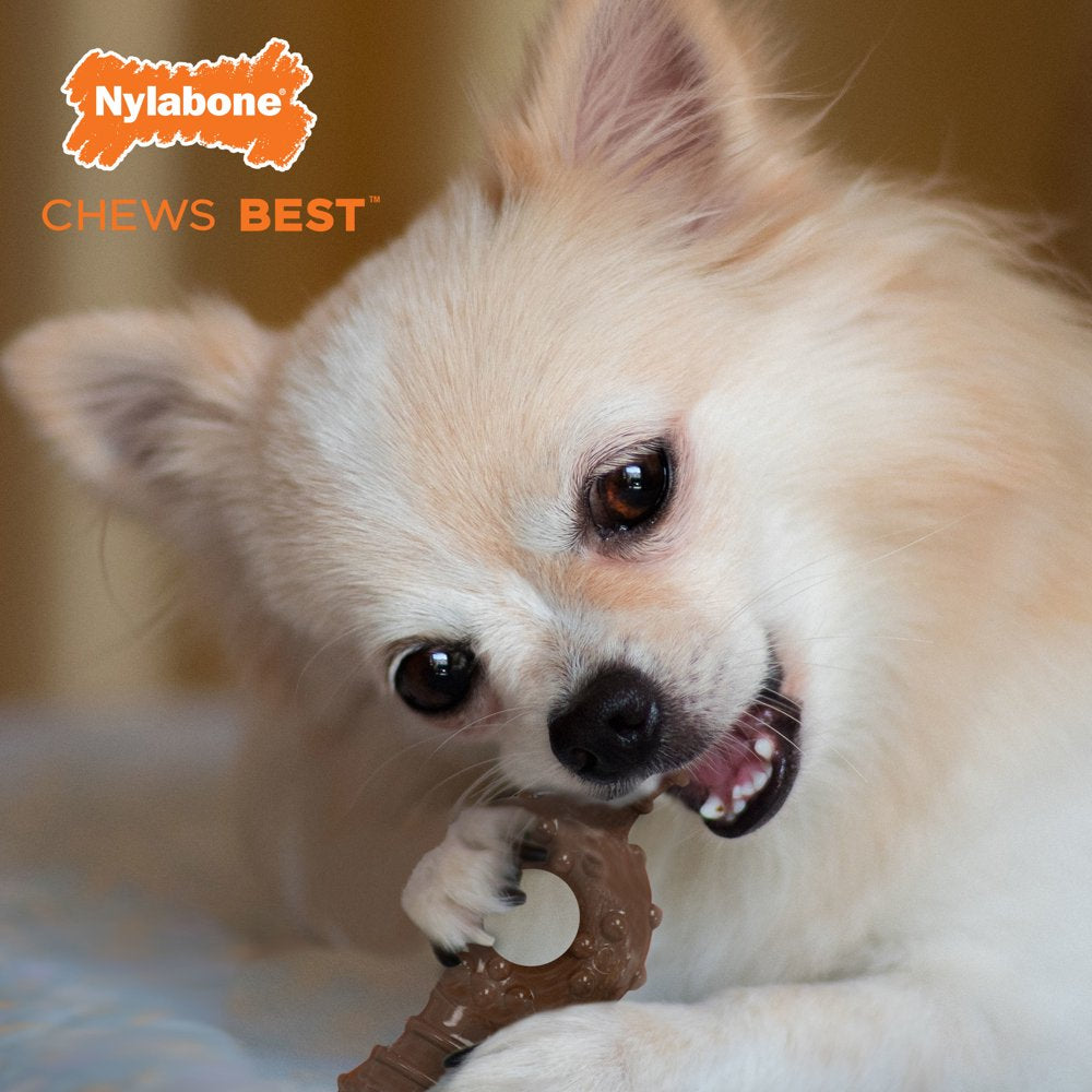 Nylabone Power Chew Ring Bone Chew Toy for Dogs Flavor Medley X-Small/Petite - up to 15 Lbs. Animals & Pet Supplies > Pet Supplies > Dog Supplies > Dog Toys Central Garden and Pet   