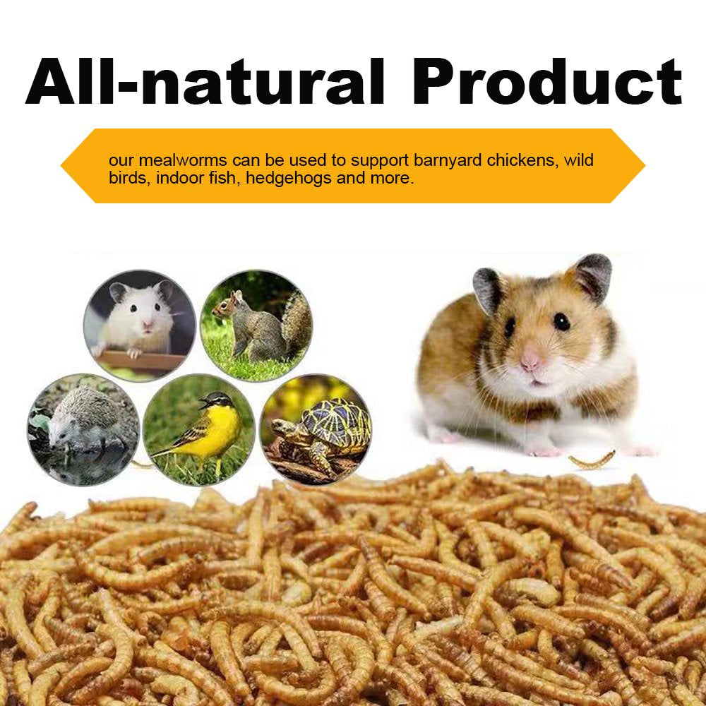 LUCKYQ Dried Mealworms 4.5Lb,High-Protein Bulk Mealworms for Birds, Chickens, Turtles, Fish, Hamsters, and Hedgehogs, Non-Gmo and Chemical Free, All Natural Animal Feed Animals & Pet Supplies > Pet Supplies > Small Animal Supplies > Small Animal Food LUCKYQ   