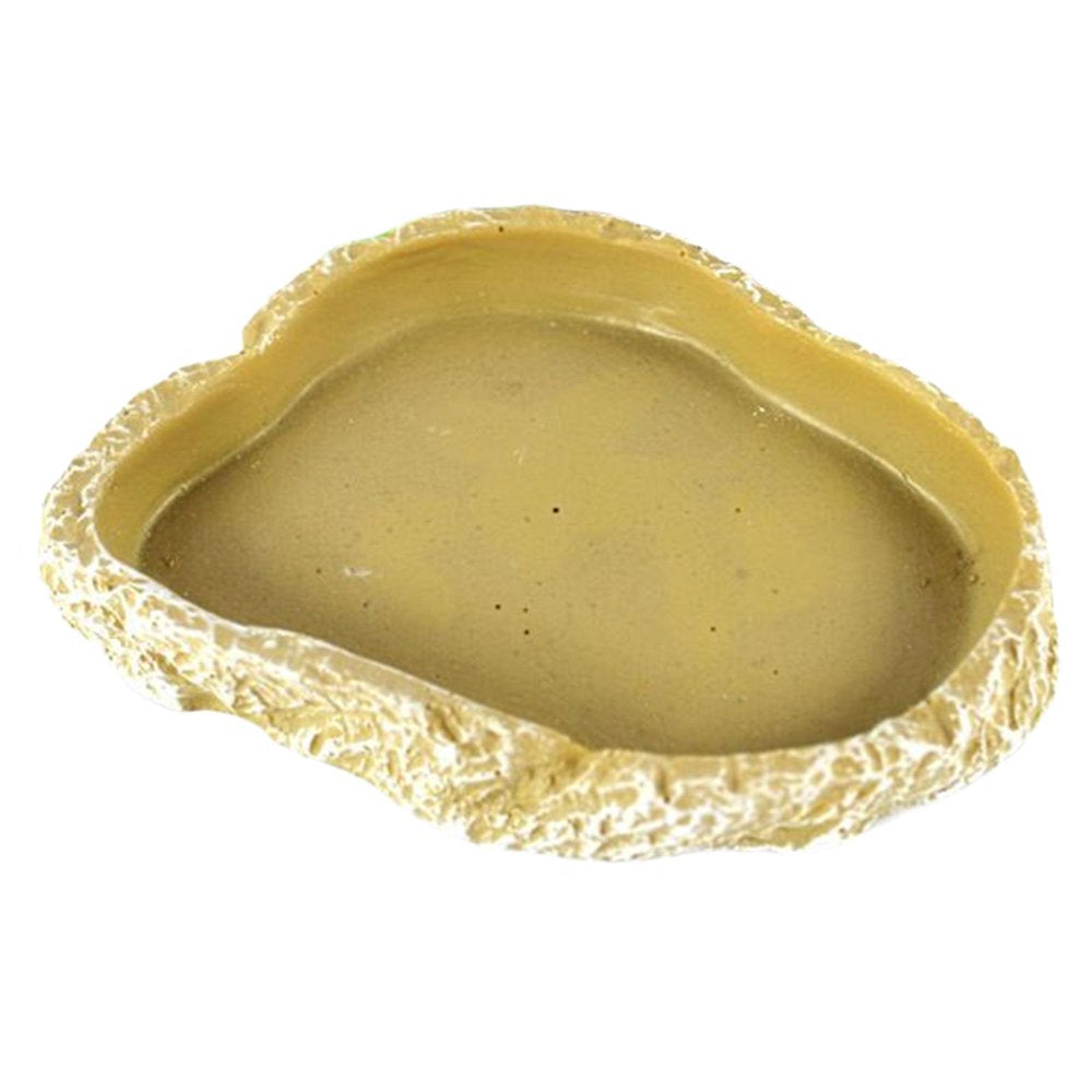 Amphibian Water Dish, Decor Terrarium Pets Worm Reptile Food Bowl Feeders Watering for Lizards, , Gecko, , Hermit Animals & Pet Supplies > Pet Supplies > Reptile & Amphibian Supplies > Reptile & Amphibian Food FITYLE   