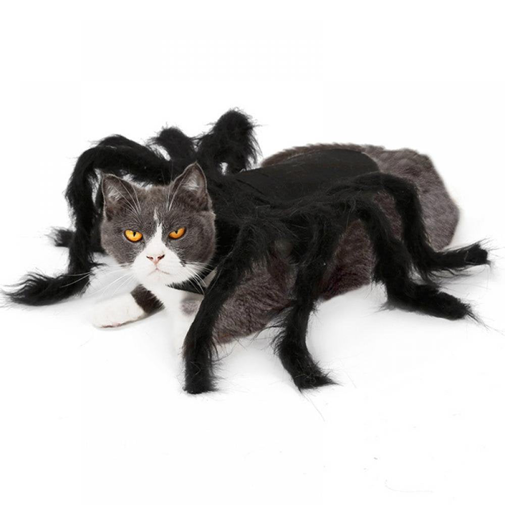 Tarantula Spider Costume, for Pet (Small) Spider - Pet Cosplay Costume Dog Cat Costume Apparel Accessories Animals & Pet Supplies > Pet Supplies > Dog Supplies > Dog Apparel Groomer   