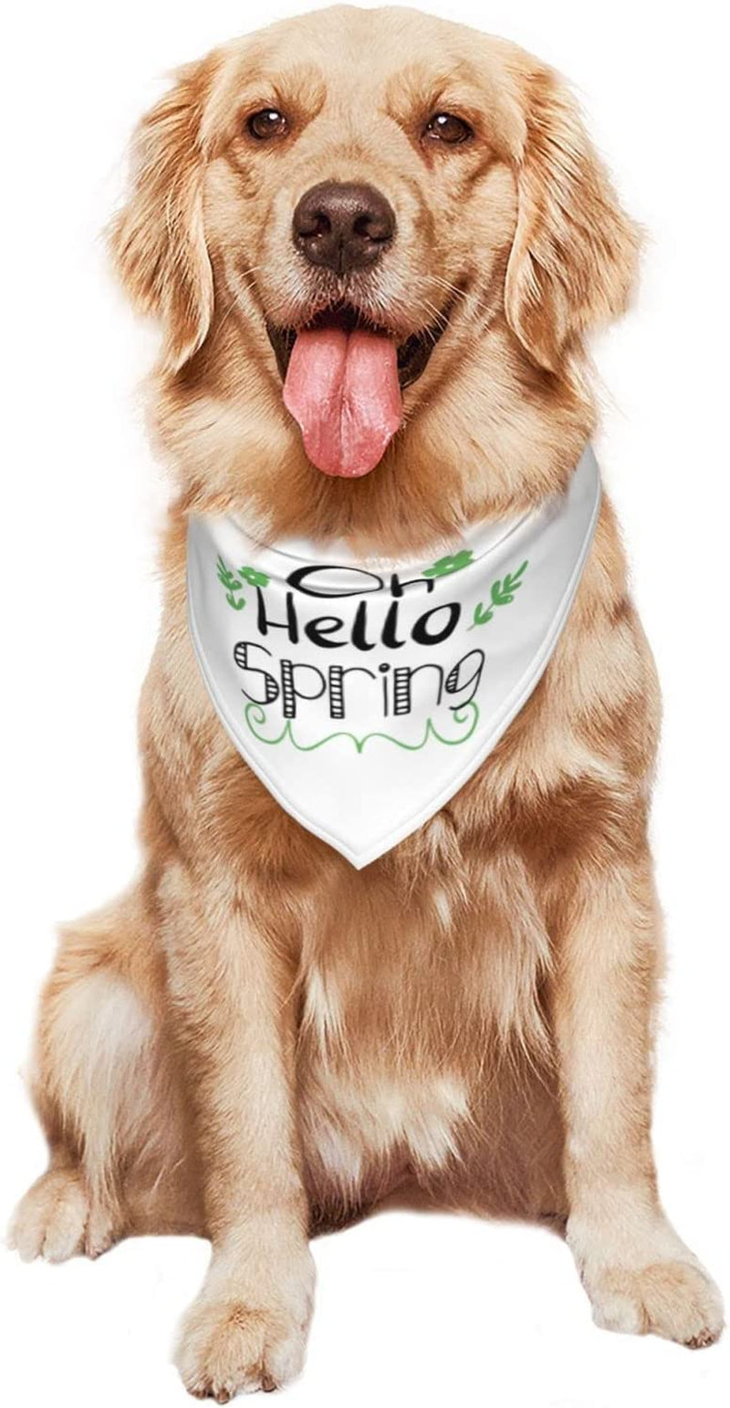 Hello Spring Black English Pet Dog and Cat Decorative Triangle Scarf,Dog Bandana,Breathable and Stain Resistant. Animals & Pet Supplies > Pet Supplies > Dog Supplies > Dog Apparel ZALTAS   