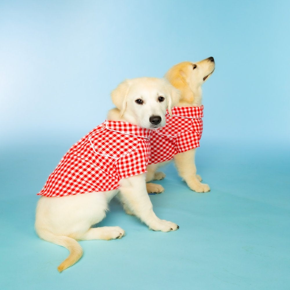 Doggy Parton, Dog Clothes, Gingham Western Dog or Cat Shirt, Red, XS Animals & Pet Supplies > Pet Supplies > Cat Supplies > Cat Apparel Mission Pets, Inc   