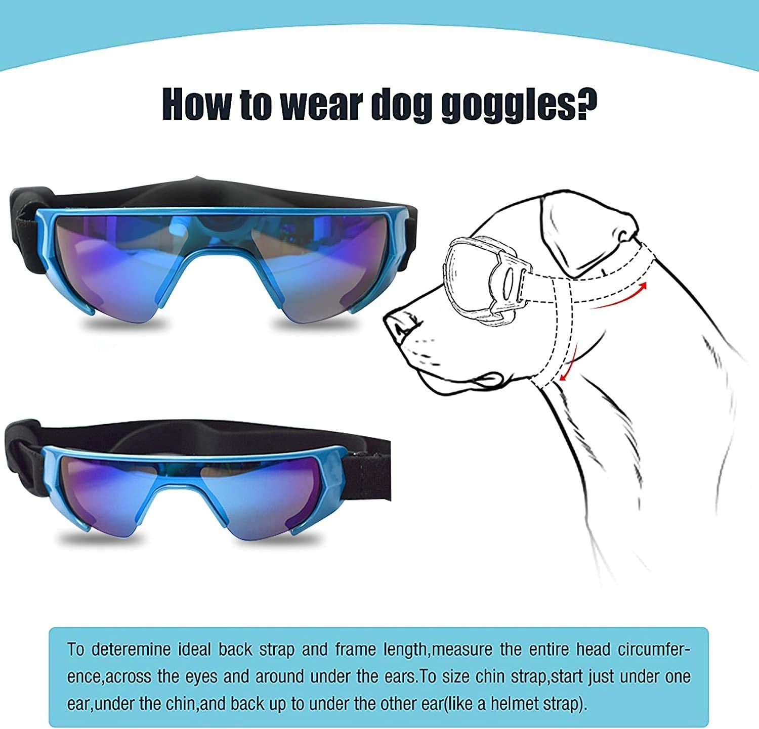 GLE2016 Dog Goggles, Eye Protection (New Version) for Small Dog Sunglasses Waterproof Windproof UV Protection with Adjustable Strap for Doggy Puppy Cat (Medium, Blue) Animals & Pet Supplies > Pet Supplies > Dog Supplies > Dog Apparel GLE2016   