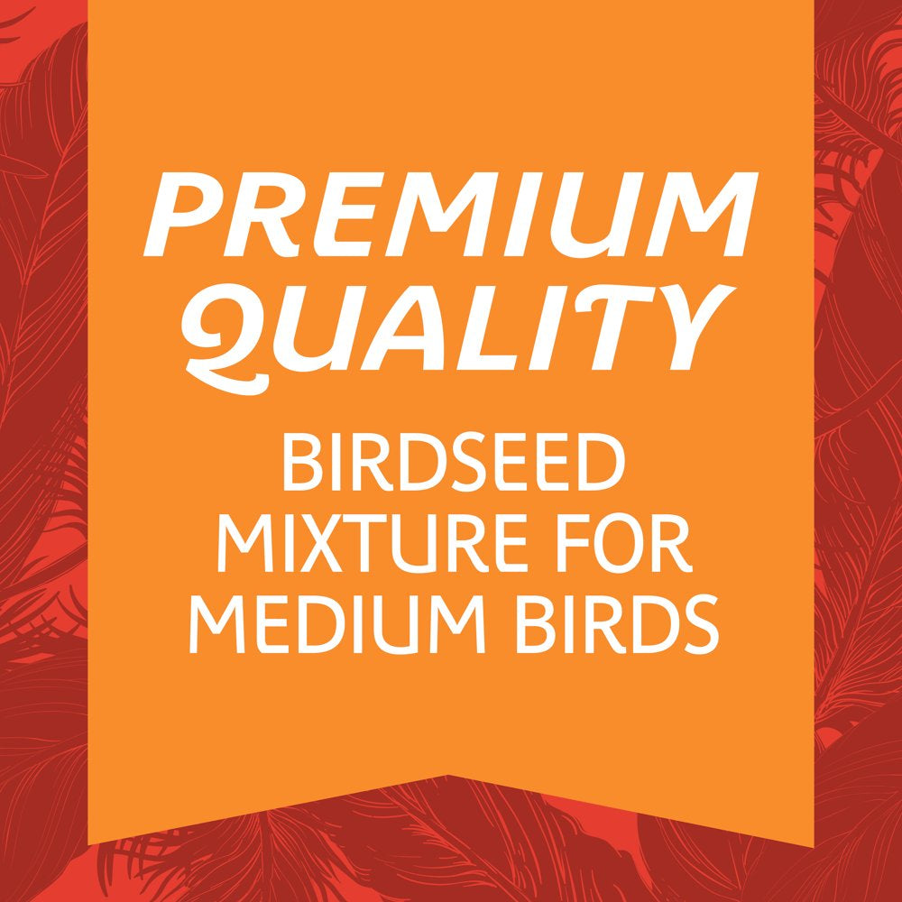 Pennington Medium Bird Blend Bird Food for Cockatiels, Love Birds; 3 Lb Bag Animals & Pet Supplies > Pet Supplies > Bird Supplies > Bird Food D & D Commodities   