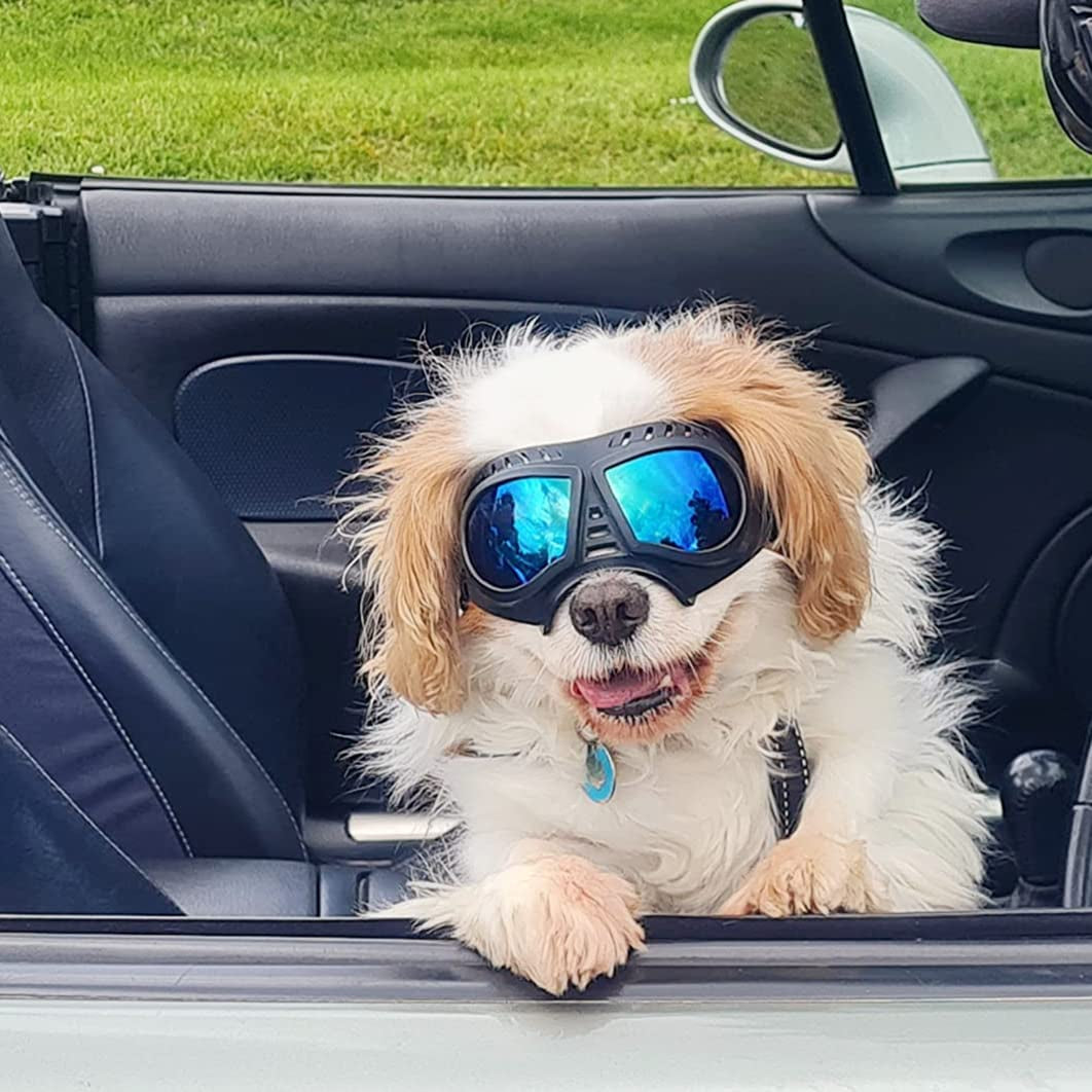 ENJOYING Small Dog Goggles Anti-Uv Doggy Sunglasses Soft Pet Motorcycle Eyewear Fog-Proof Windproof Shatterproof Dog Glasses for Small-Medium Dogs, Blue Animals & Pet Supplies > Pet Supplies > Dog Supplies > Dog Apparel Enjoying   