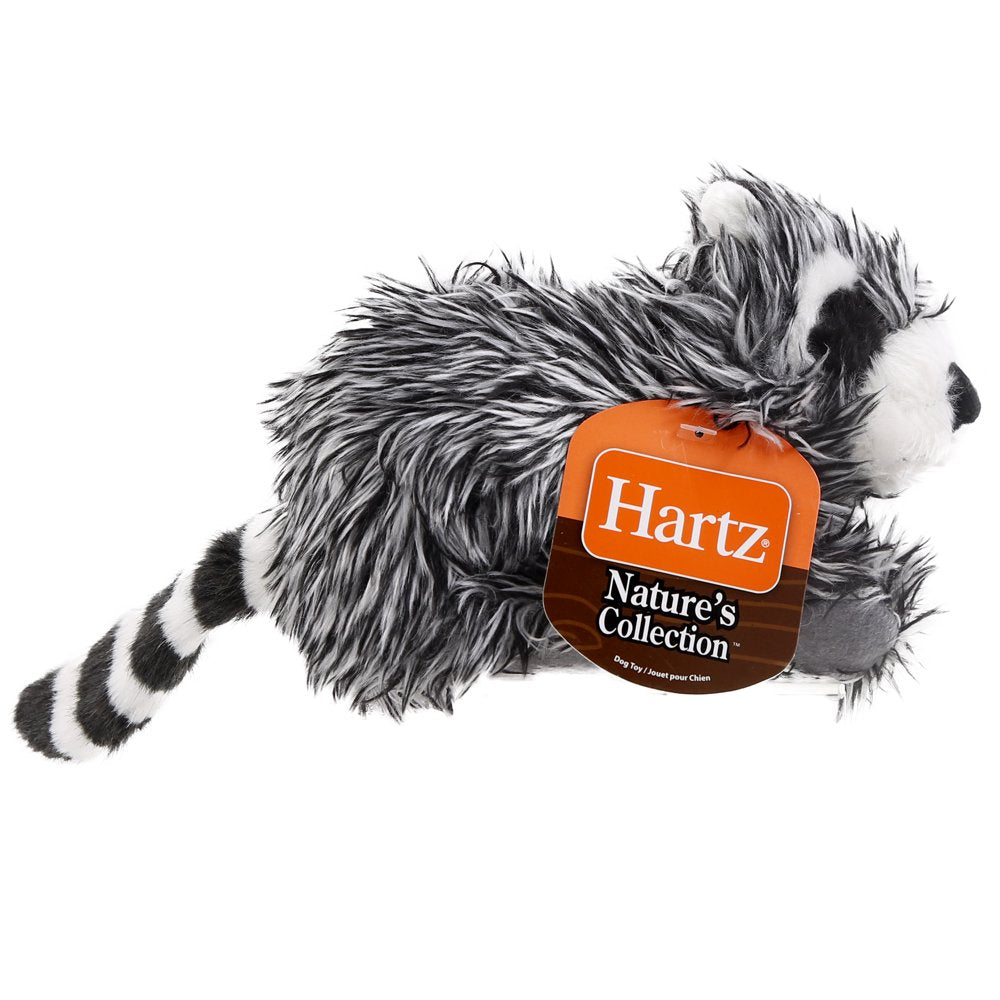 Hartz Nature'S Collection Animals Plush Dog Toys, Large (Style May Vary) Animals & Pet Supplies > Pet Supplies > Dog Supplies > Dog Toys Hartz Mountain Corp   