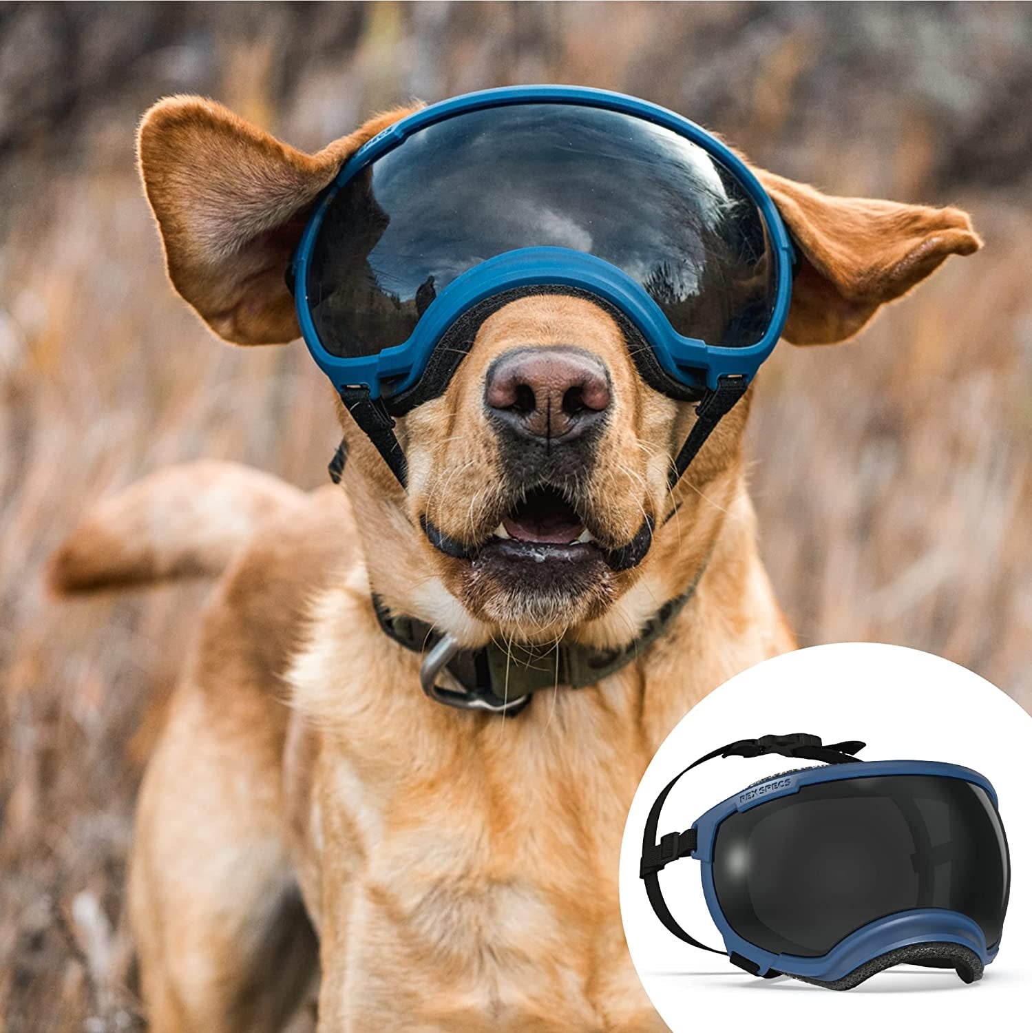 Rex Specs V2 Dog Goggles (Large, Tazer Teal) Animals & Pet Supplies > Pet Supplies > Dog Supplies > Dog Apparel Rex Specs Atlas Blue Small 