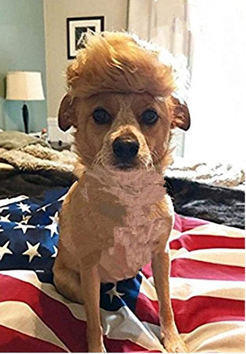 Trump Style Pet Costume Dog Wig Dog Clothes with Collar Tie