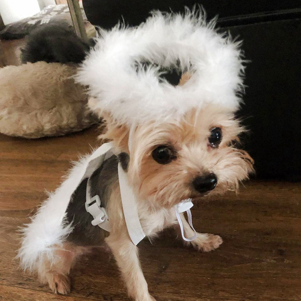 Halloween Pet Costume Feather Angel Wings Hat Apparel Outfits for Puppy Dog Cat Christmas Holiday Festival Cosplay Dress Up Animals & Pet Supplies > Pet Supplies > Cat Supplies > Cat Apparel pluoda   