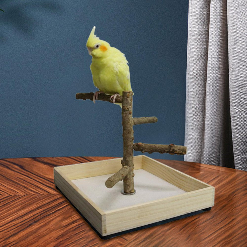 Bird Tabletop Training Stand Perch, Portable Parrot Play Stands, Natural Gym Playground for Small Medium Parakeets Cocktails Conures Finch , 23X26X20Cm