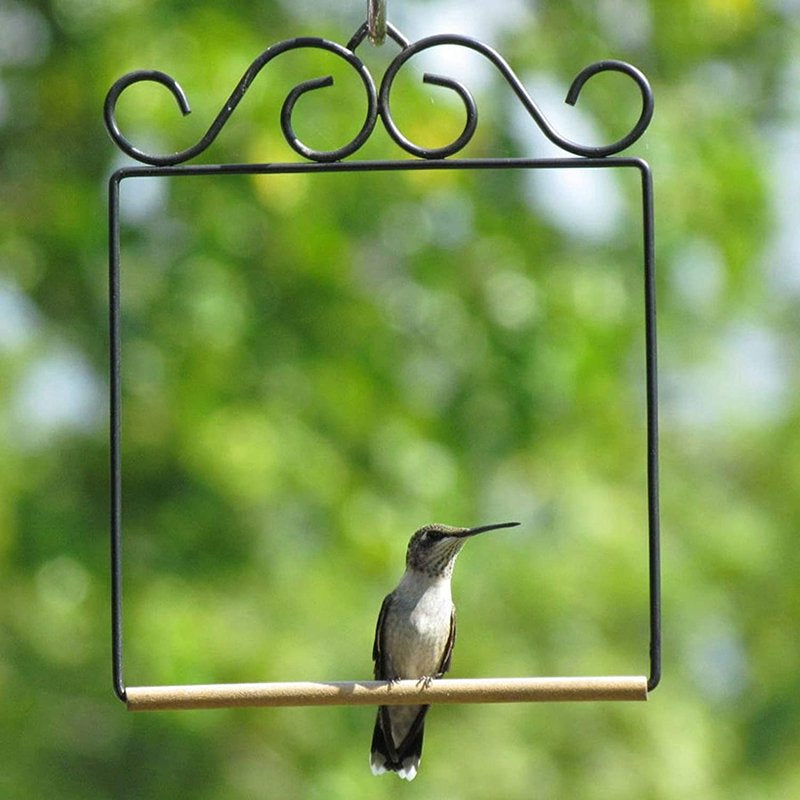 Hummingbird Swing Bird Toy Curved Hummingbird Swing Rust Resistant Metal Frame Hummingbird Perch for outside Lawn Garden New Animals & Pet Supplies > Pet Supplies > Bird Supplies > Bird Toys swing sets for backyard   