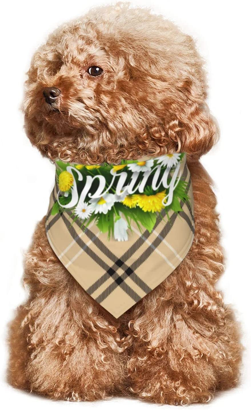 Hello Spring Floral Season Border Pet Dog and Cat Decorative Triangle Scarf,Dog Bandana,Breathable and Stain Resistant. Animals & Pet Supplies > Pet Supplies > Dog Supplies > Dog Apparel ZALTAS   