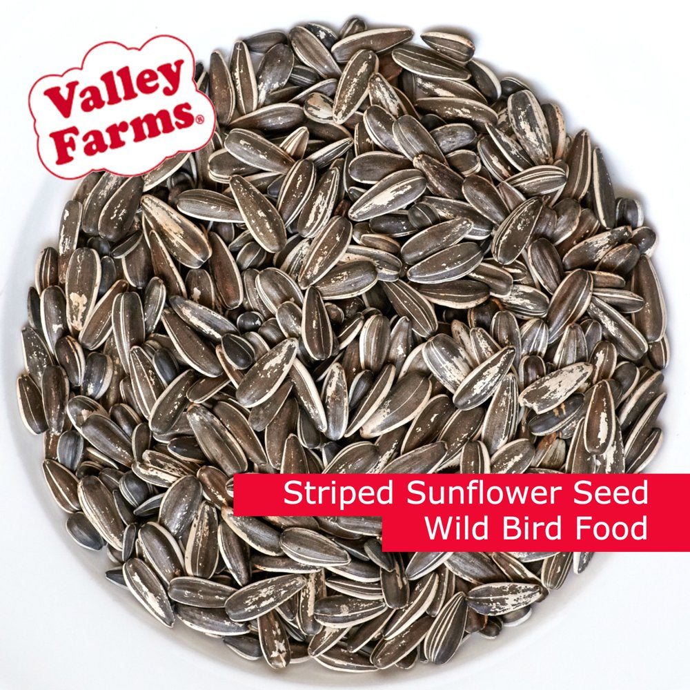 Valley Farms Striped Sunflower Seed Wild Bird Food Animals & Pet Supplies > Pet Supplies > Bird Supplies > Bird Food Valley Farms   