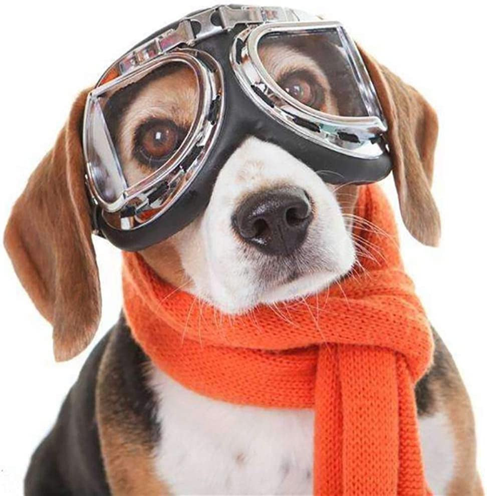 Gabefish Fashion Cool Aviator Polarized Dog Sunglasses Pets Stylish Motorcycle Swimming Goggle Clear/Colorful Animals & Pet Supplies > Pet Supplies > Dog Supplies > Dog Apparel GabeFish   