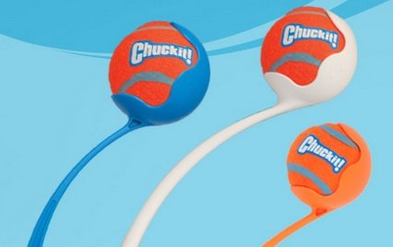 Chuckit! Durable Tennis Ball Dog Toy, Medium, 4 Count Animals & Pet Supplies > Pet Supplies > Dog Supplies > Dog Toys Doskocil Manufacturing Co Inc   