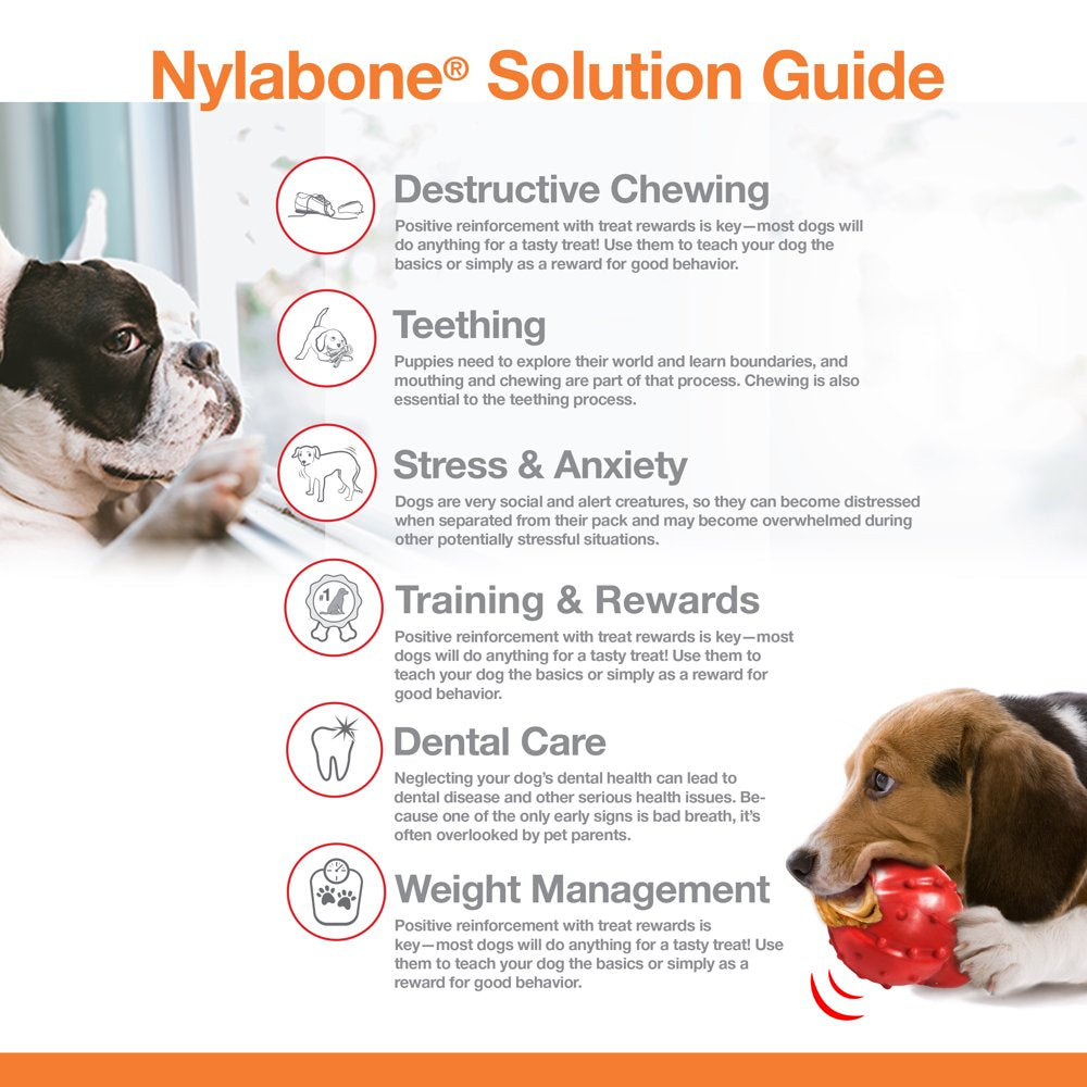 Nylabone Femur Bone Rawhide Alternative Power Chew Durable Dog Toy Beef Flavor Medium/Wolf - up to 35 Lbs.